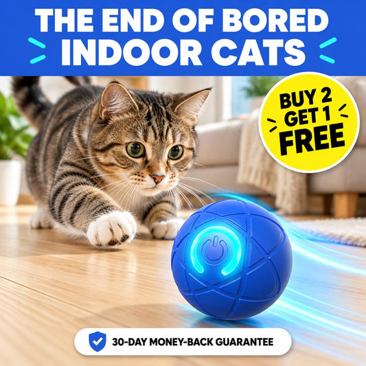 ZoomiBall Pounce Orb