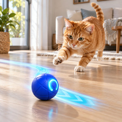 ZoomiBall Pounce Orb