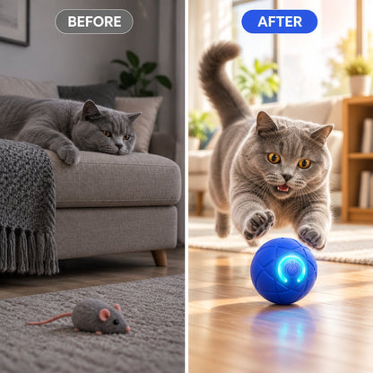 ZoomiBall Pounce Orb
