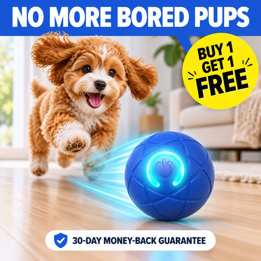 ZoomiBall Fetch Orb