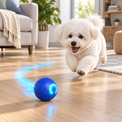 ZoomiBall Fetch Orb