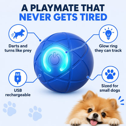 ZoomiBall Fetch Orb