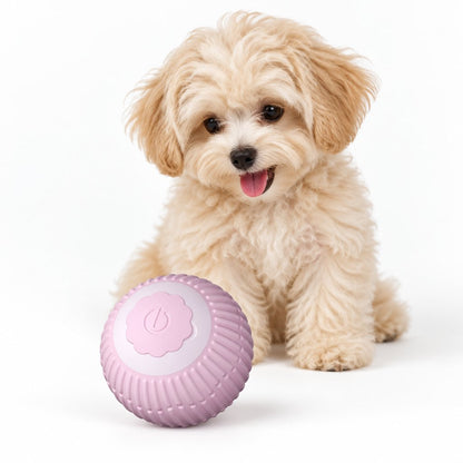 ZoomiBall Fetch Orb