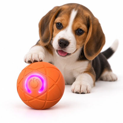 ZoomiBall Fetch Orb